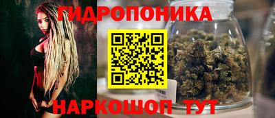 гидропоника Изобильный