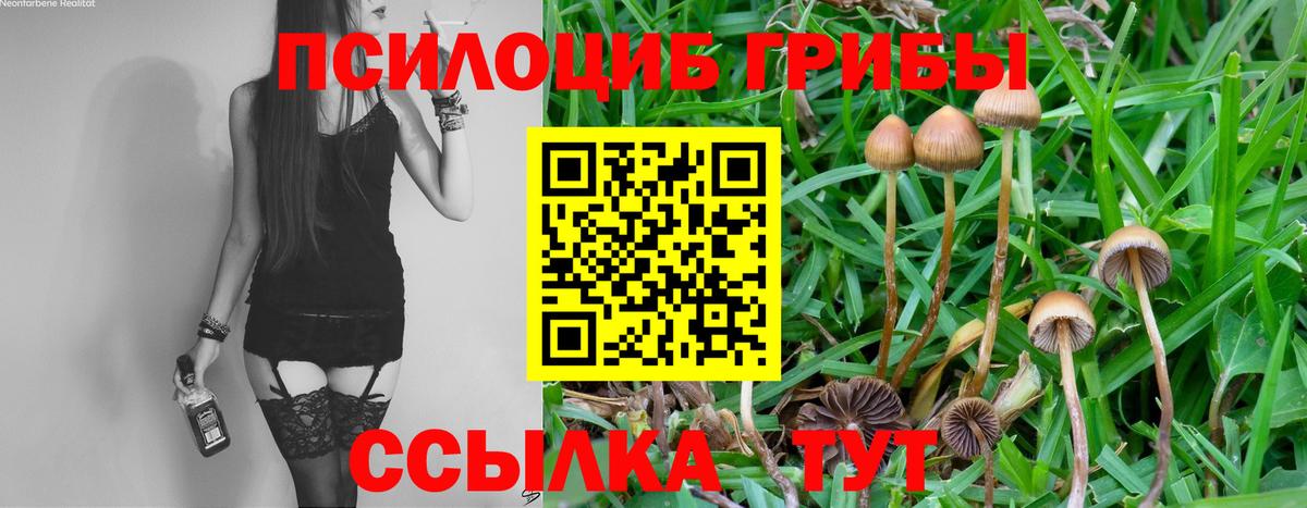 Галлюциногенные грибы ЛСД Черногорск